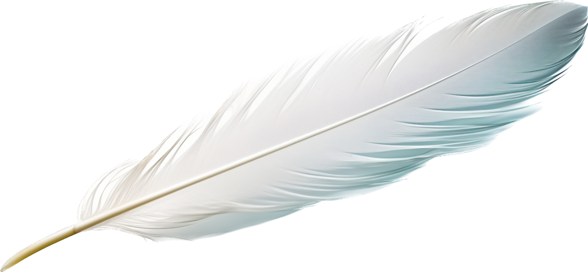 Feather with . png