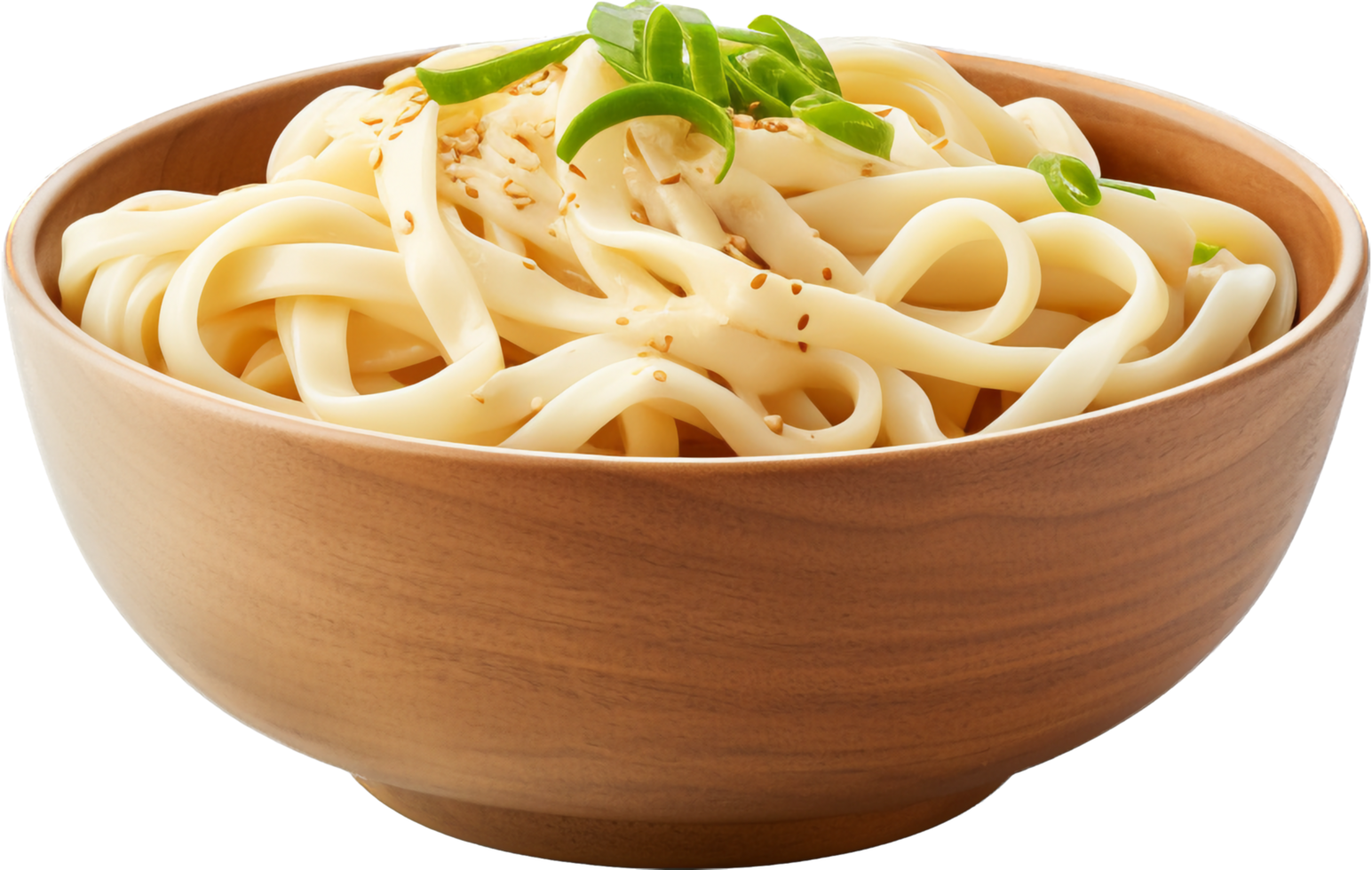 Udon with . png