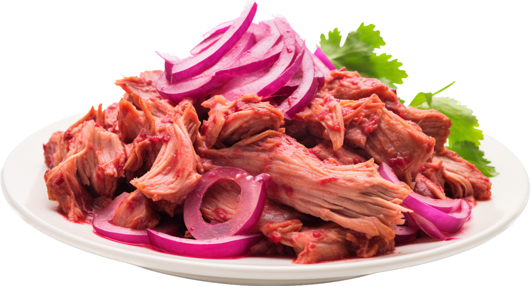 Cochinita Pibil with . png