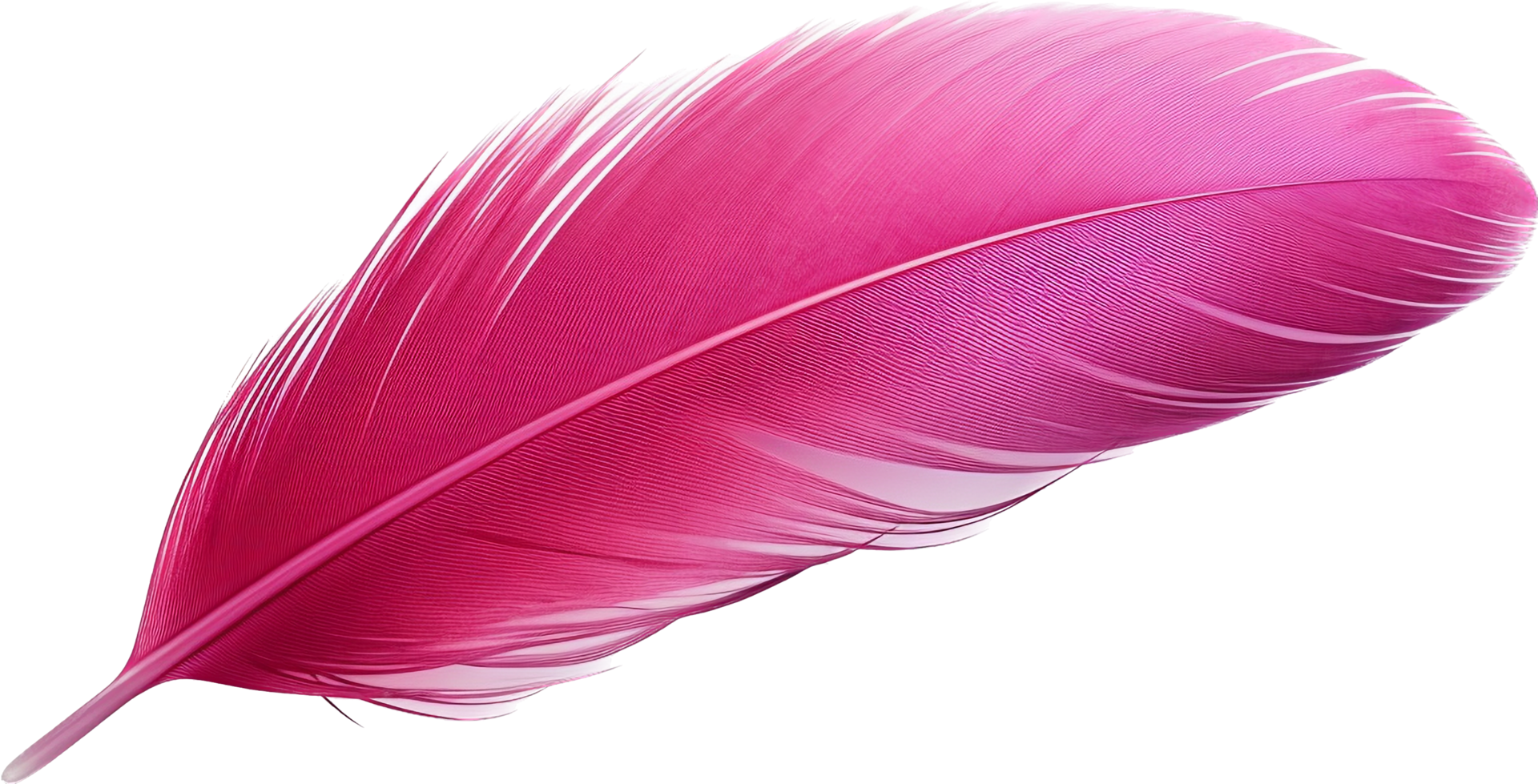 Feather png with AI generated.