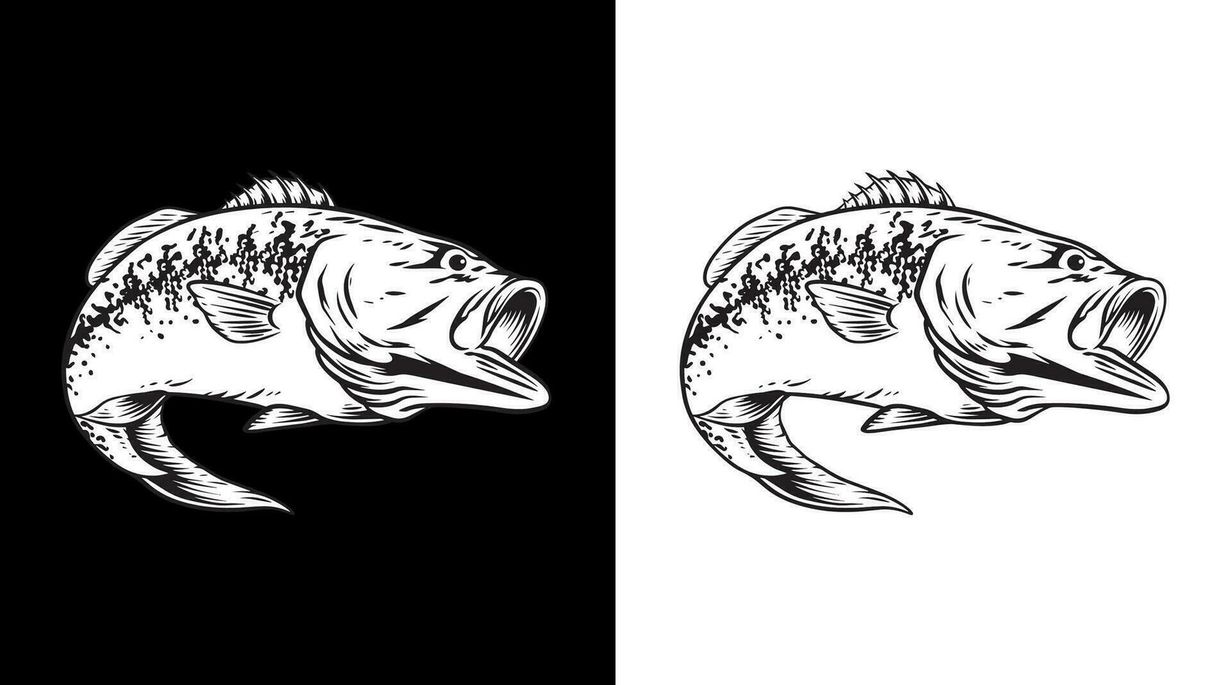 Bass fish vector art