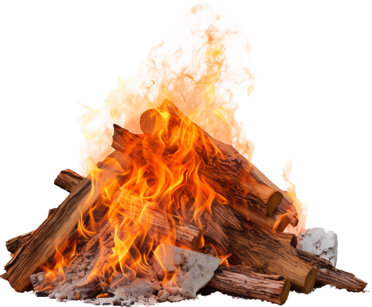 Bonfire with . png