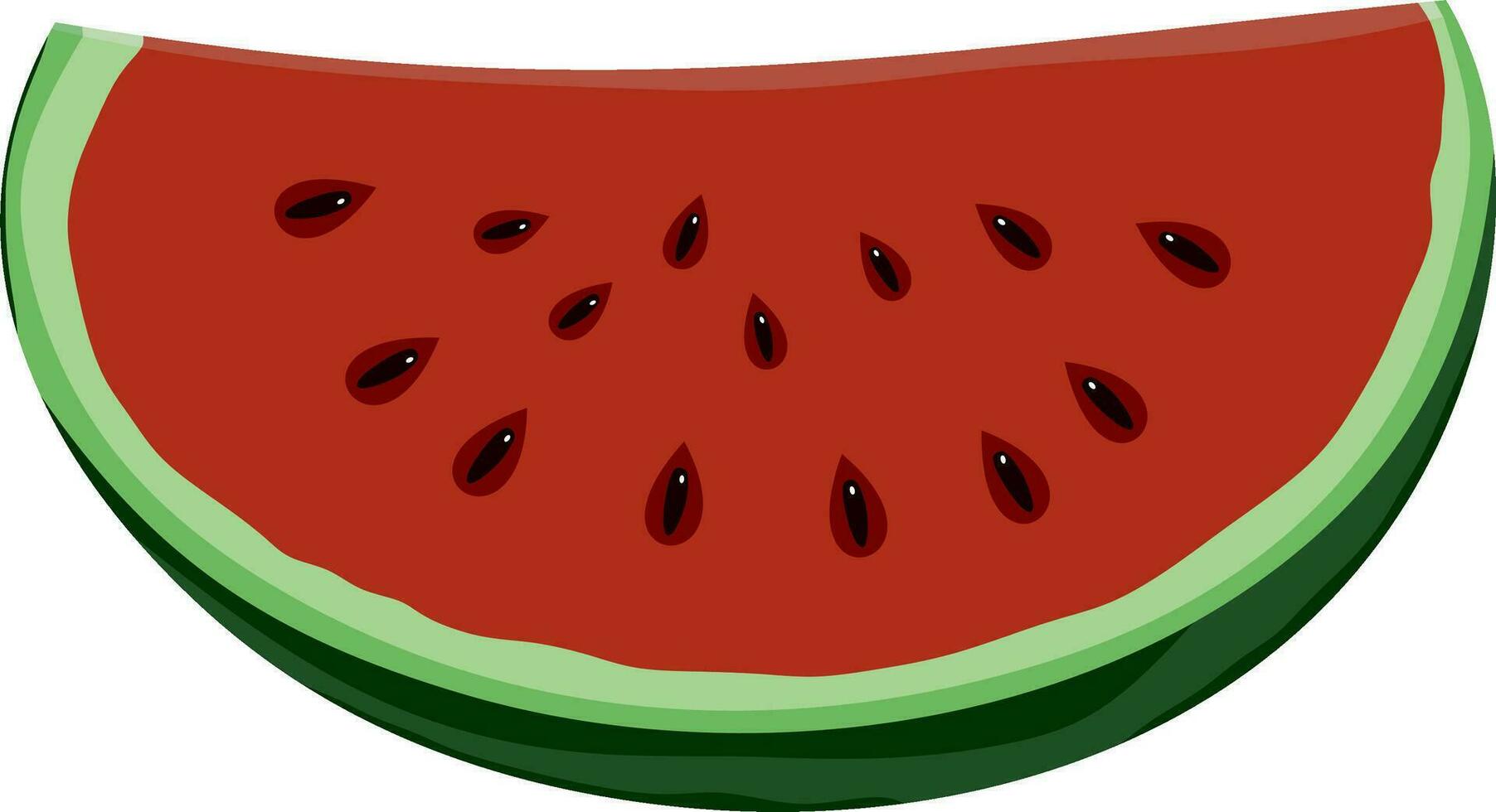 Vector drawing of colored slices of watermelon. A piece of a large red berry. Piece of large pitted fruit