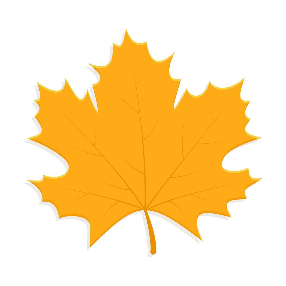 Maple leaf yellow vector