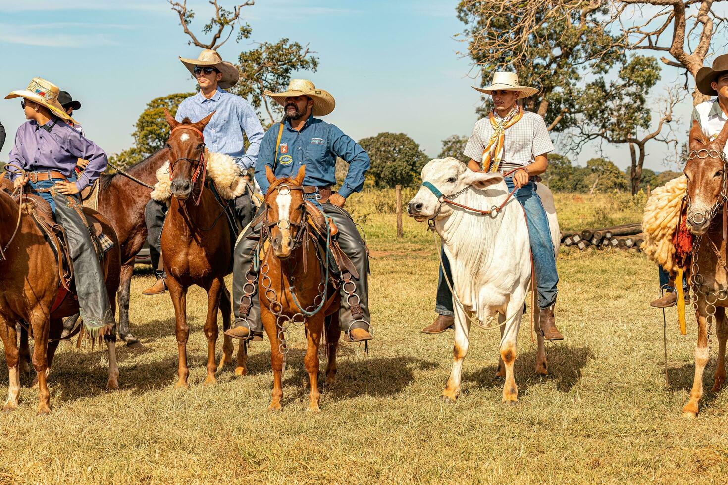 Apore, Goias, Brazil - 05 07 2023 Horseback riding event open to the public photo