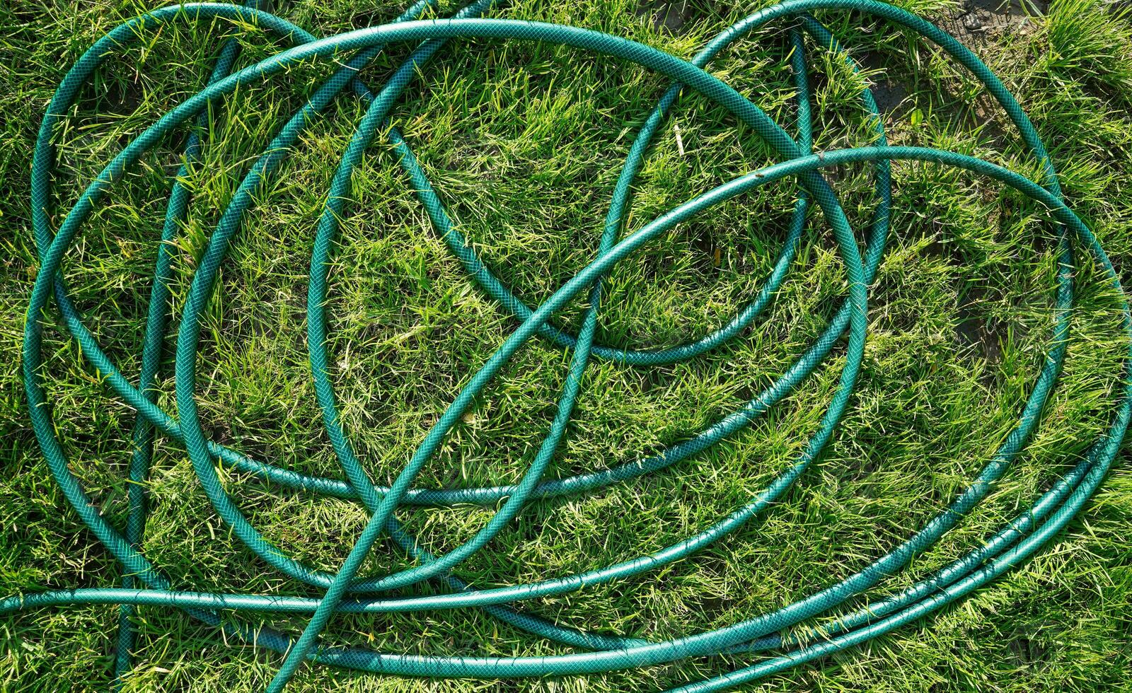 Garden hose on the grass. Garden theme. Garden grass with hose background. Garden pattern. photo