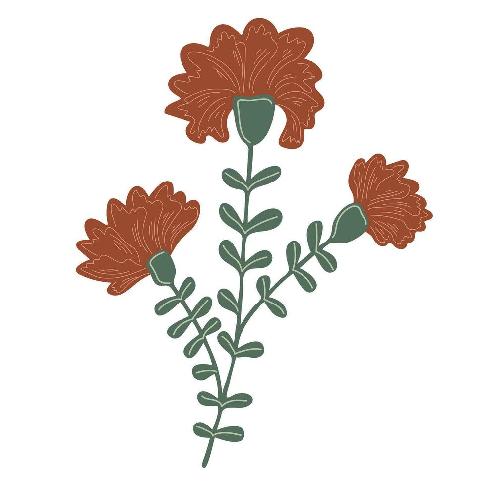 Chrysanthemum. Autumn flower. Hand drawn elements for autumn decorative design vector