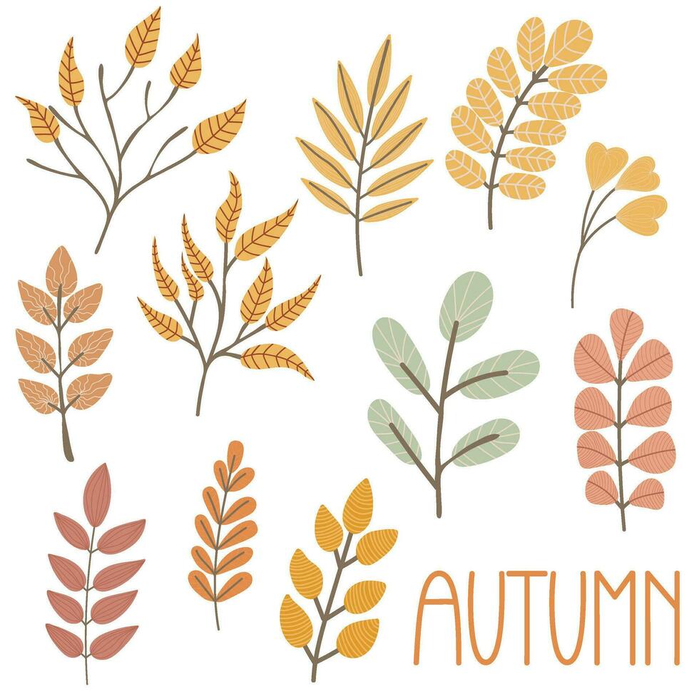 conjunto de otoño leña menuda con hojas. mano dibujado elementos para otoño decorativo diseño vector