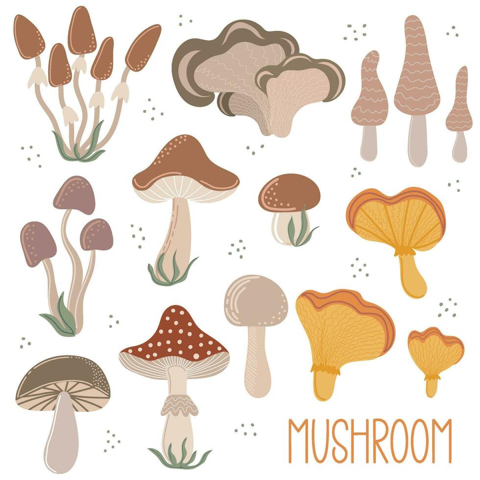 Set of autumn mushroom. Hand drawn elements for autumn decorative design vector