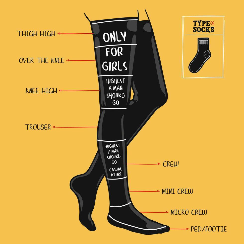 A Visual Guide To Different Types Of Socks Hand Drawn Vector a-visual-guide-to-different-types-of-socks-hand-drawn-vector