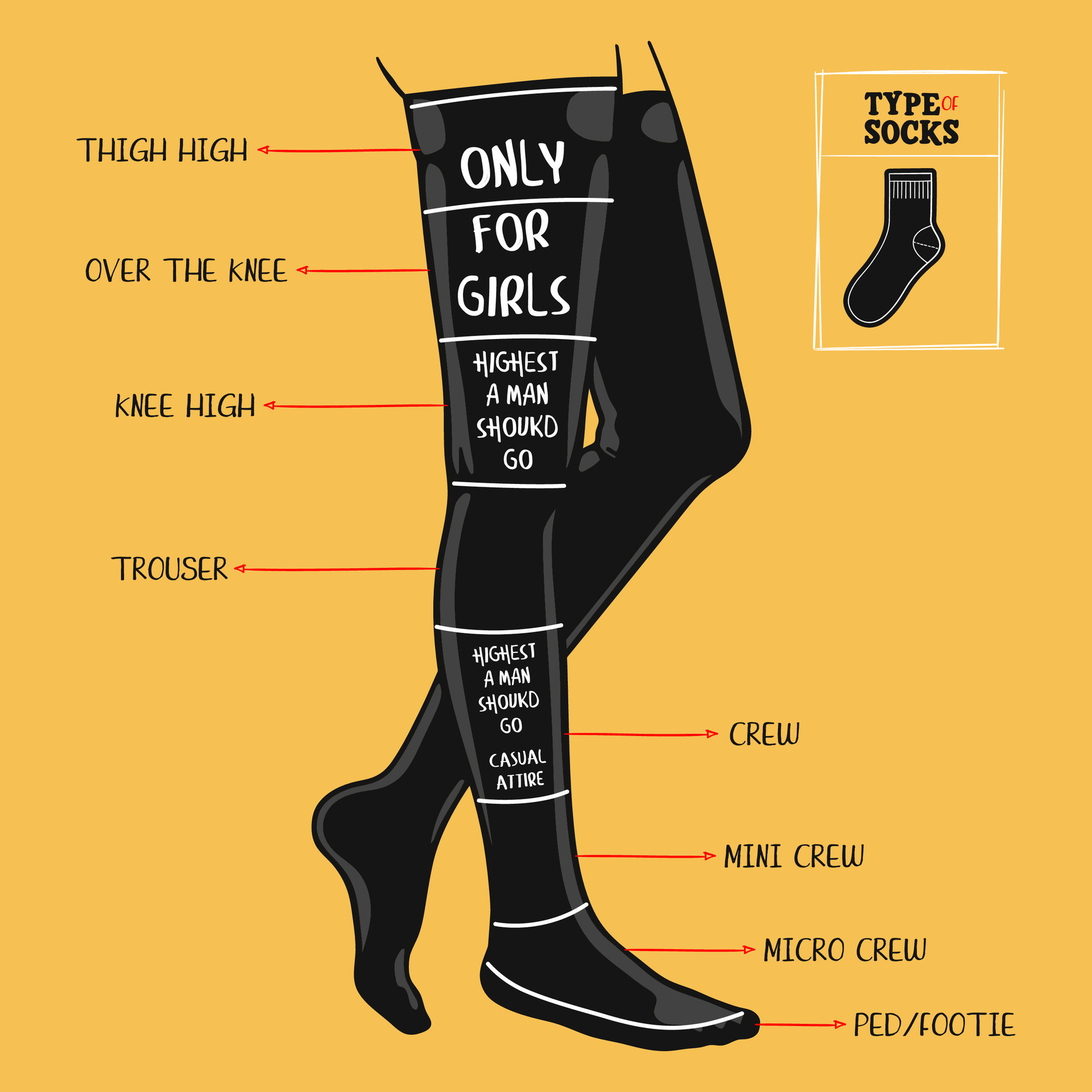 A Visual Guide to Different Types of Socks, hand drawn vector ...