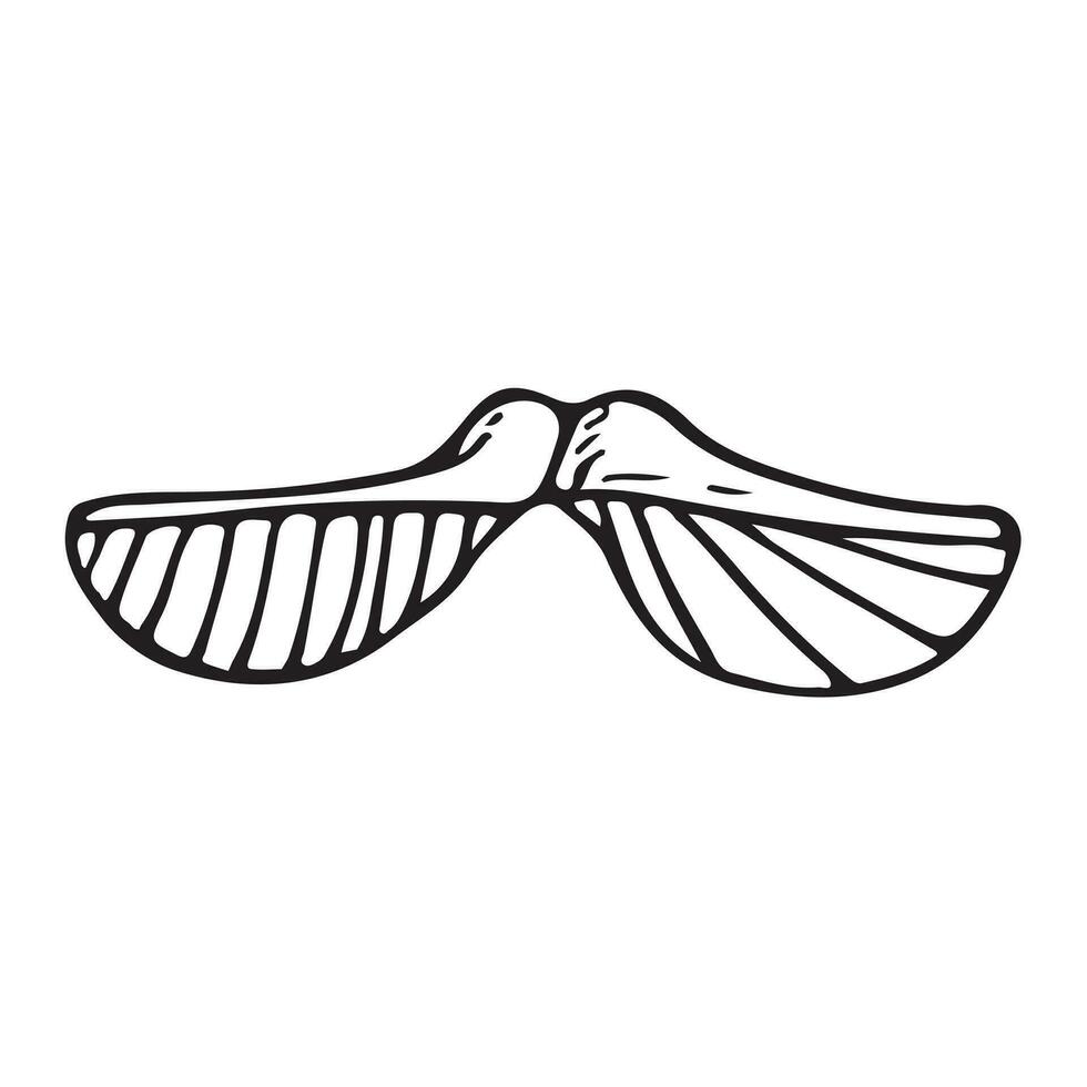 Doodle isolated image of a flying maple seed with wings. vector