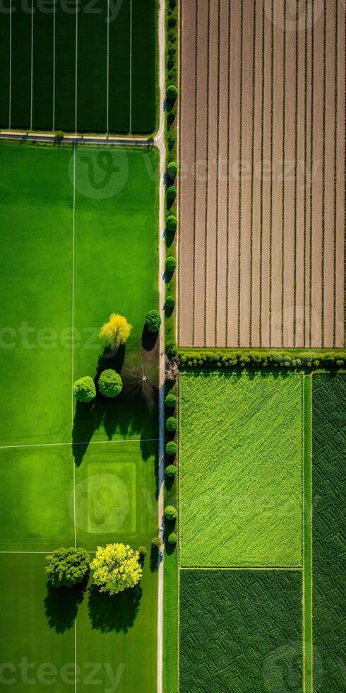 , Farm landscape, agricultural fields, beautiful countryside, country road. Nature Illustration, photorealistic top view drone, vertical format photo