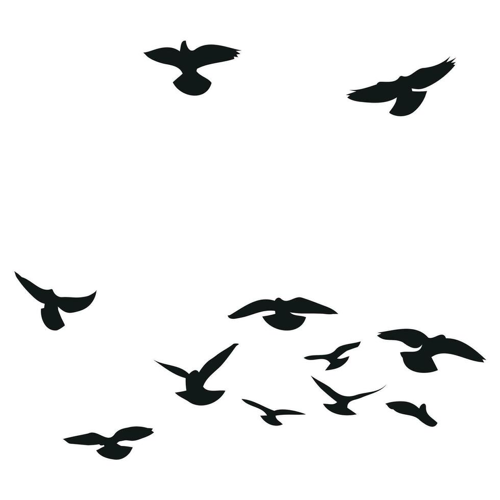 Silhouette sketch of a flock of flying birds, flight in different positions. Hover, soaring, landing, flying, flutter vector