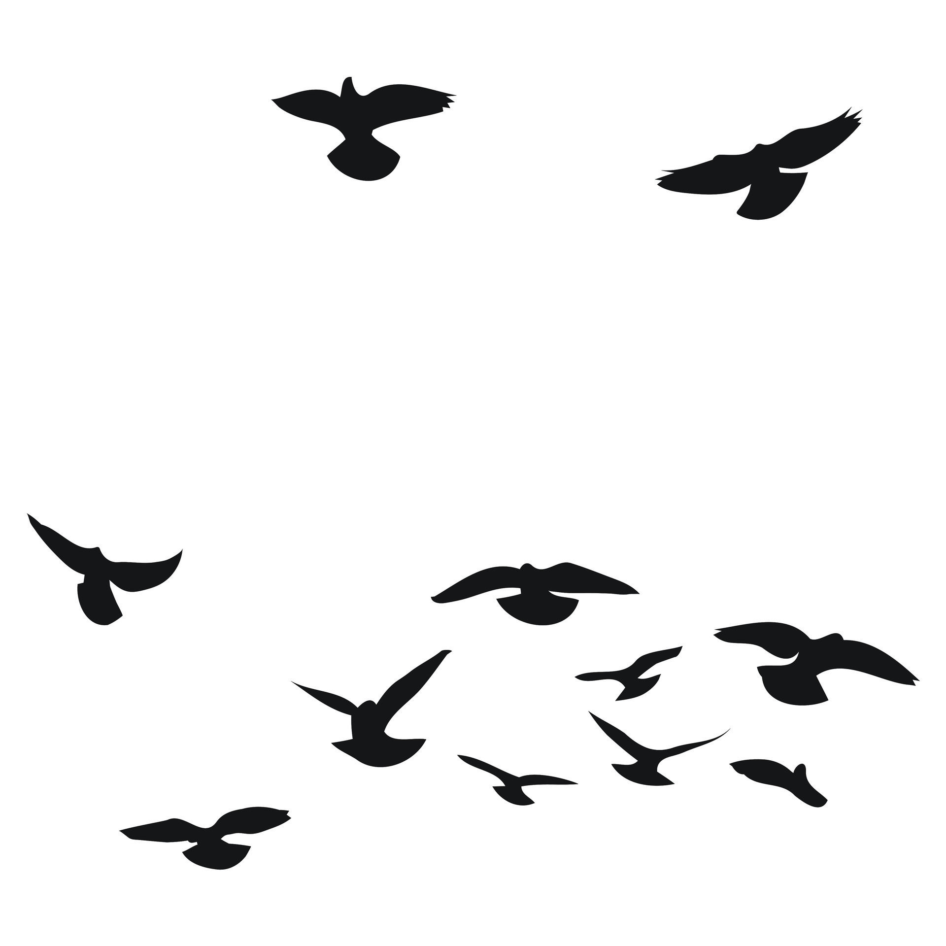Silhouette sketch of a flock of flying birds, flight in different