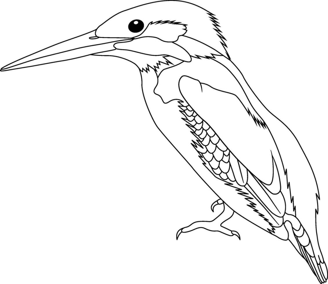 Hand drawn outline of a kingfisher vector