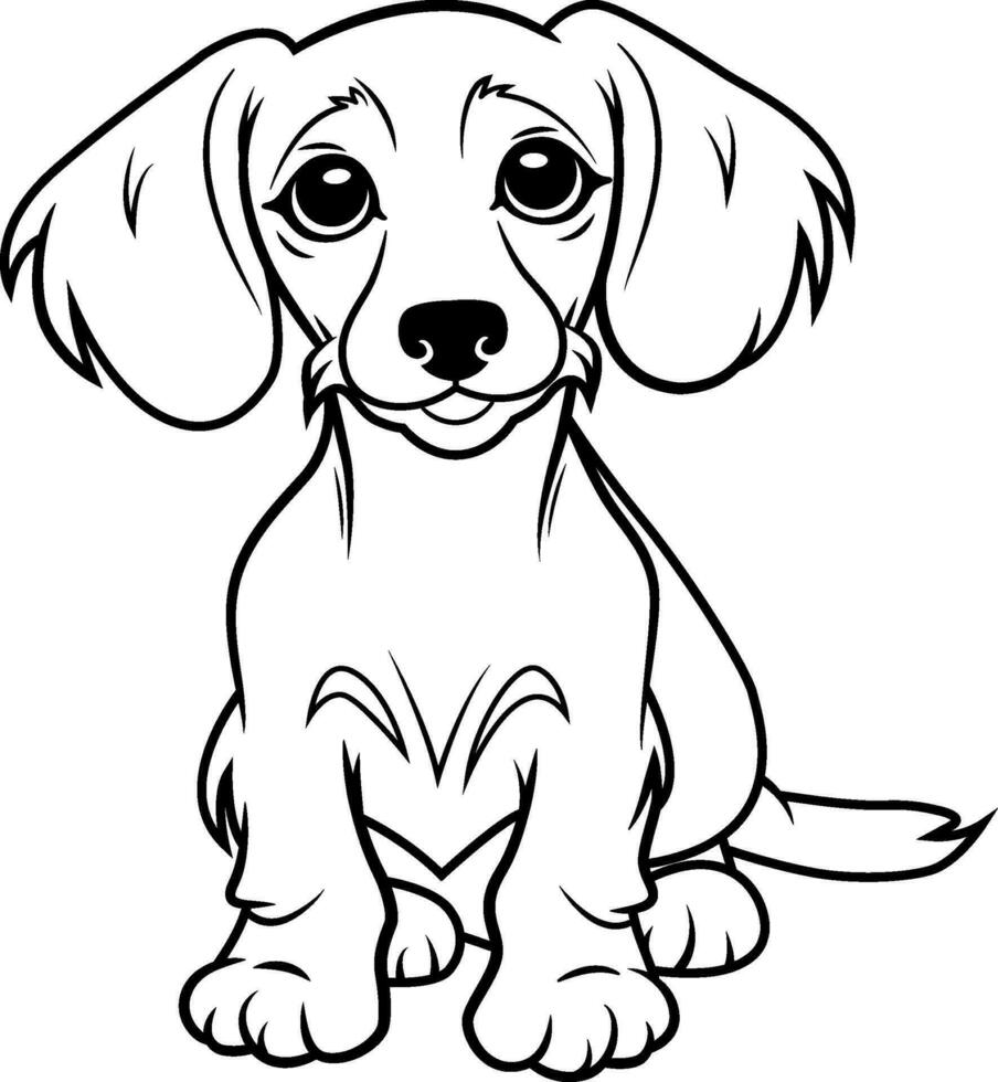 Hand drawn outline of Dachshund Puppy vector