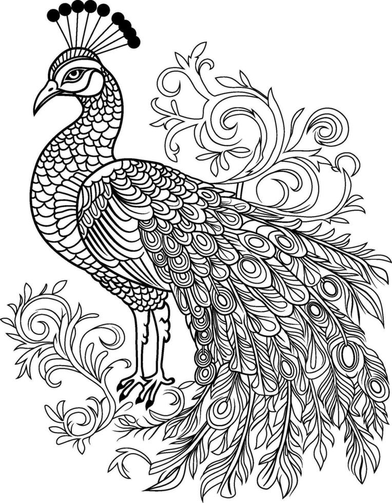 Peacock coloring page in doodle style vector