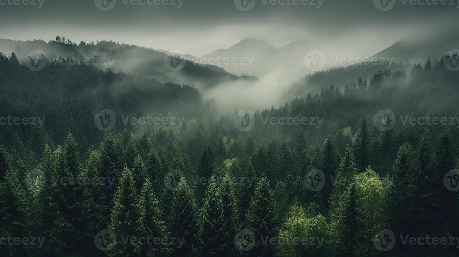 , Misty fir forest beautiful landscape in hipster vintage retro style, foggy mountains and trees photo