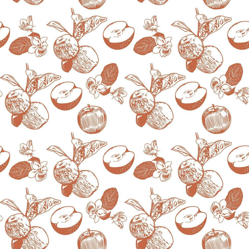Apples on a branch with leaves, whole and cut. Vector pattern with apples on a white background. Design for covers, textiles, wrapping paper, clothes.