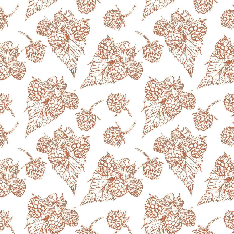 Berry and raspberry sprig. Vector seamless raspberry pattern in graphic style. Design element for wrapping paper, textiles, covers.