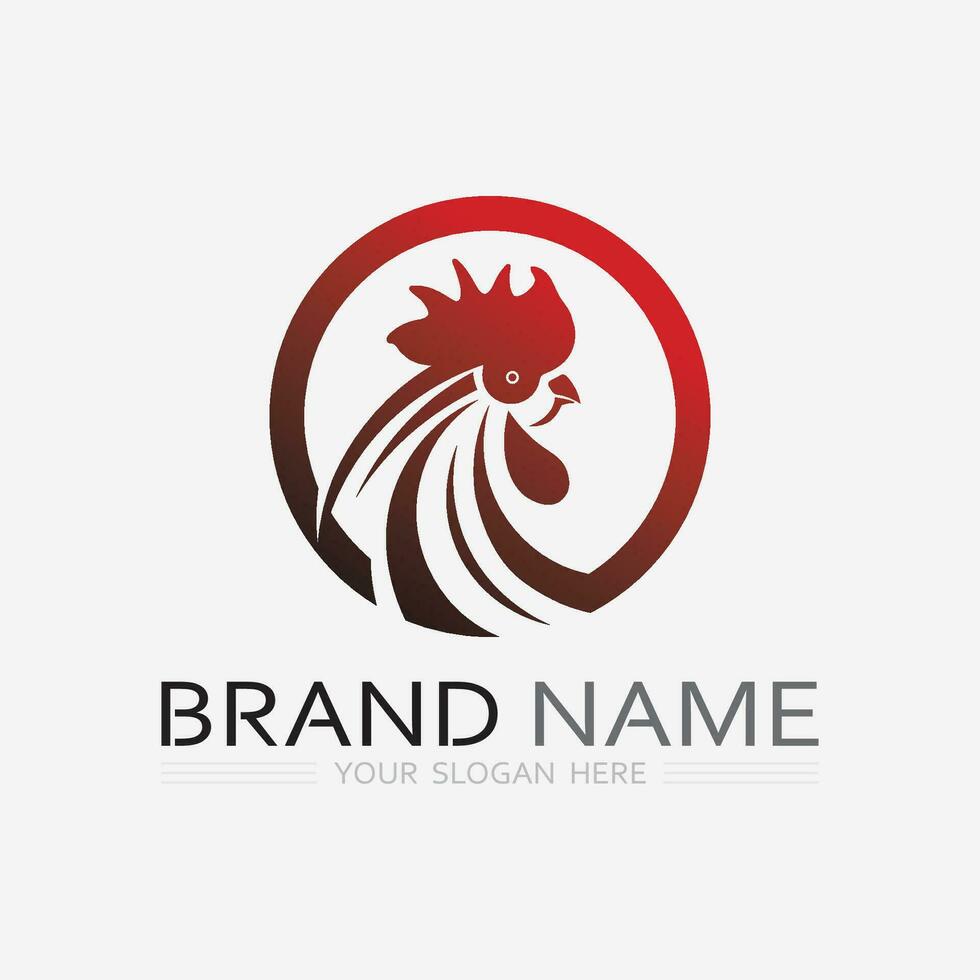 chicken logo  rooster and hen logo for poultry farming  animal logo vector illustration design