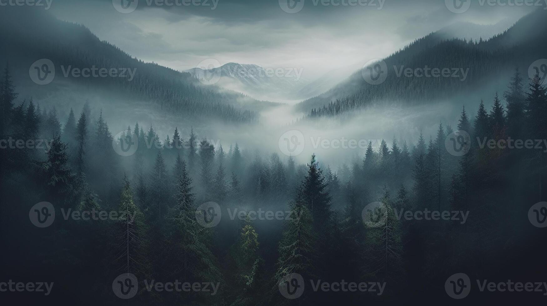 , Misty fir forest beautiful landscape in hipster vintage retro style, foggy mountains and trees photo