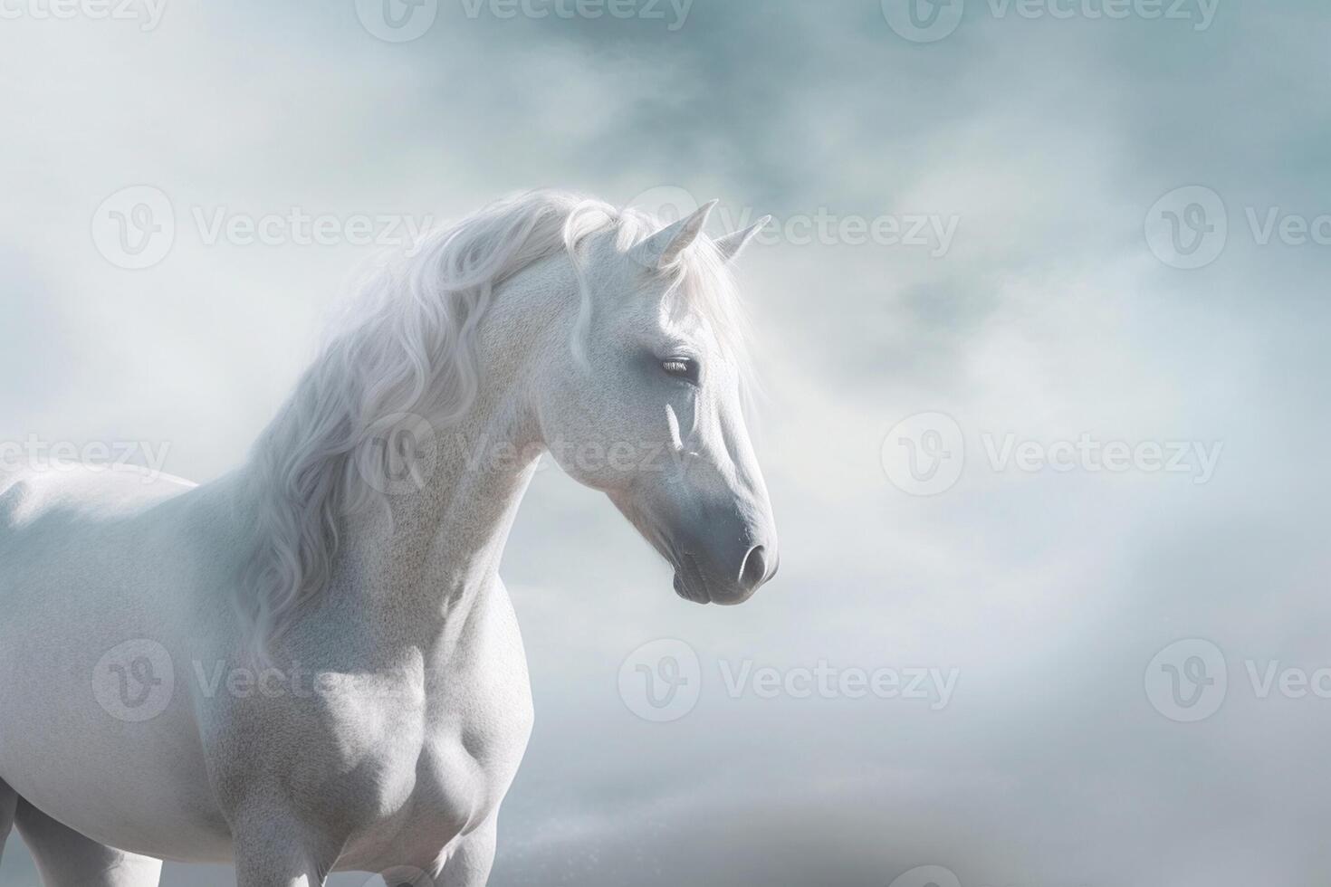 White horse portret on fog background. Copy space. Created with technology photo