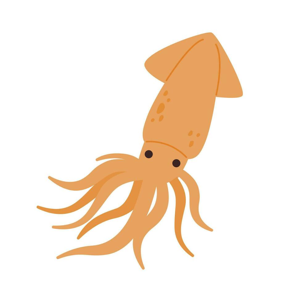 Squid drawing. flat vector illustration.