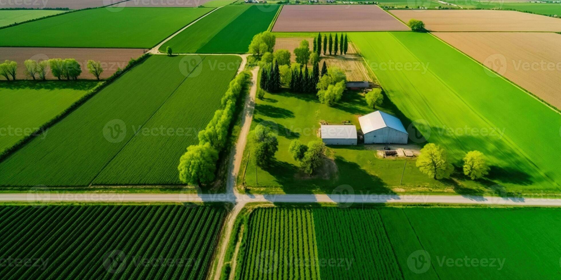 Generative AI, Farm landscape, agricultural fields, beautiful countryside, country road. Nature Illustration, photorealistic top view drone, horizontal banner. photo