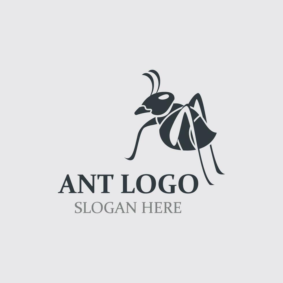Ant logo design silhouette. Isolated animal ants on background design template vector
