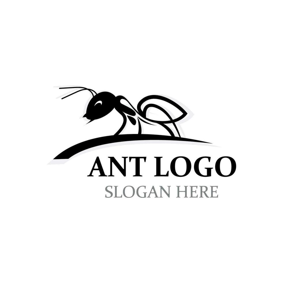 Ant logo design silhouette. Isolated animal ants on background design template vector