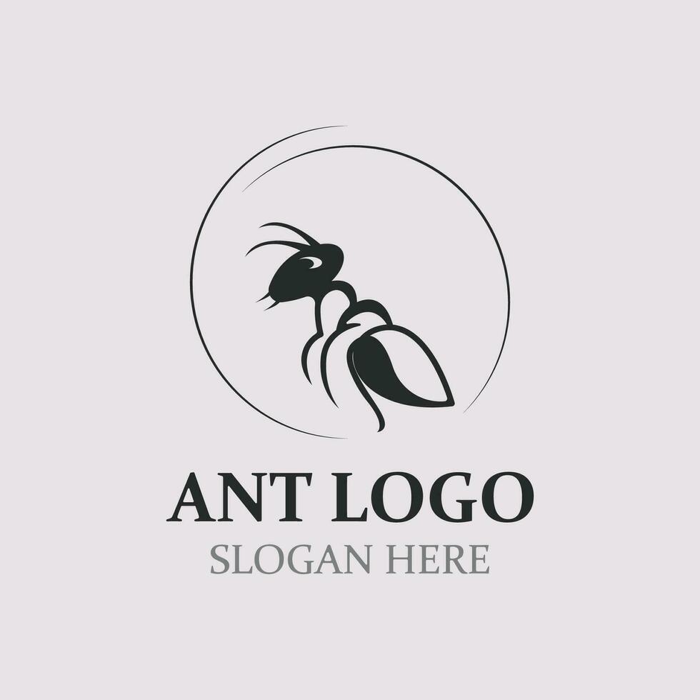 Ant logo design silhouette. Isolated animal ants on background design template vector