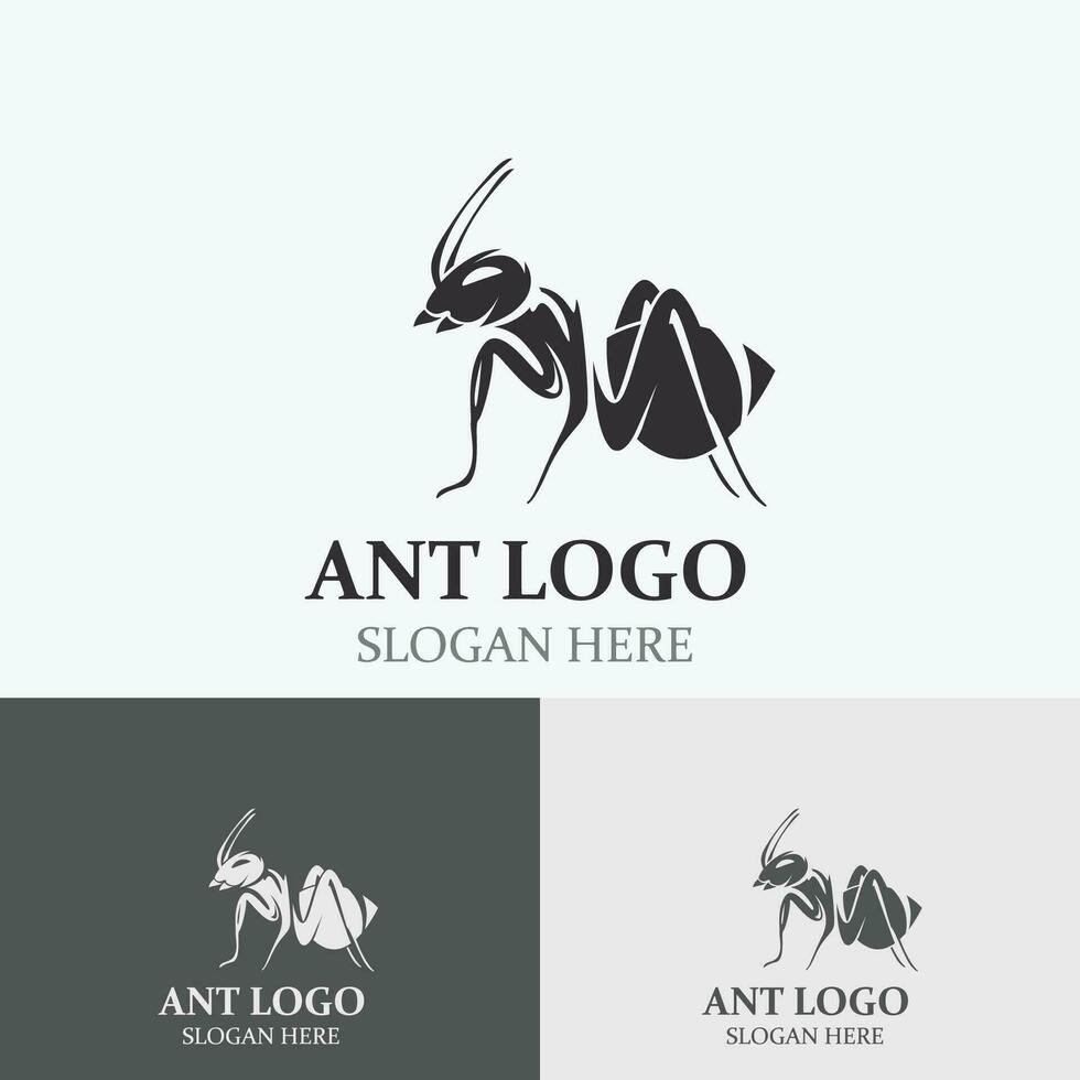 Ant logo design silhouette. Isolated animal ants on background design template vector