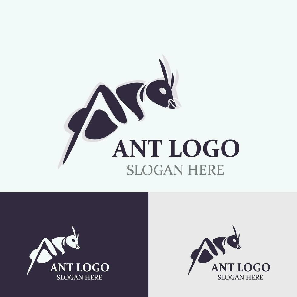 Ant logo design silhouette. Isolated animal ants on background design template vector