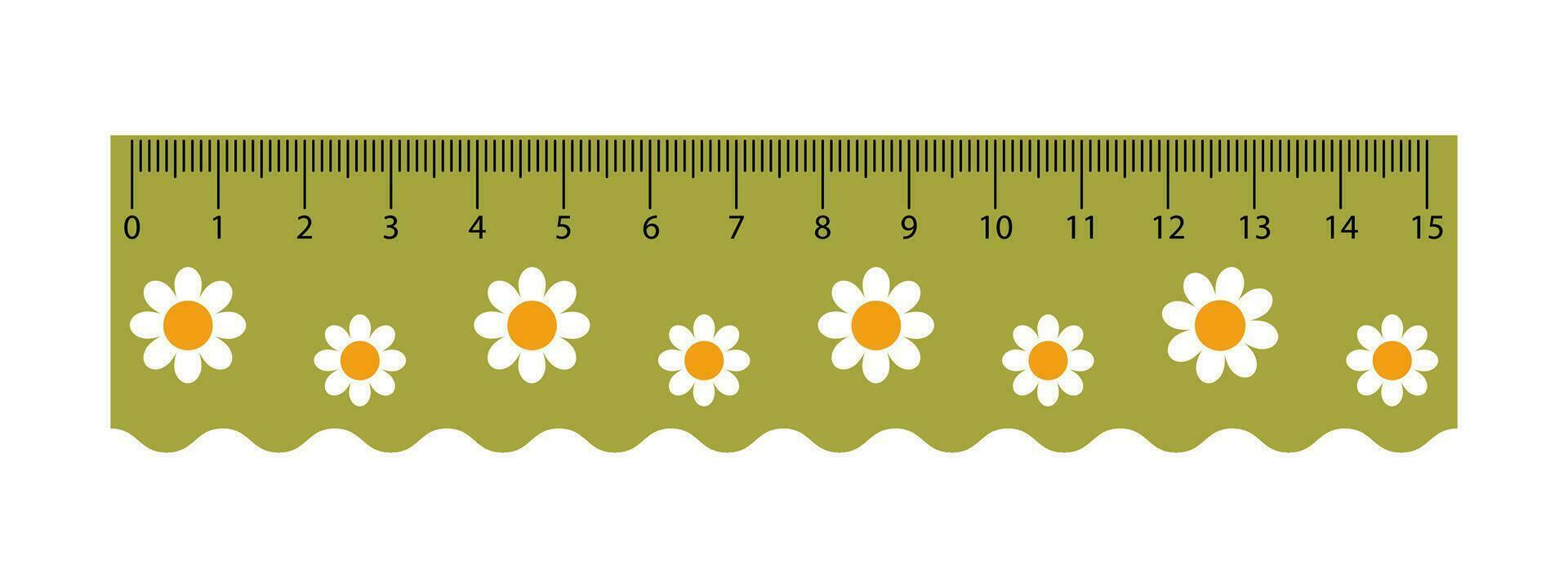 vector verde medición regla con manzanilla flores estudiante medición herramienta. linda colegio regla con ola lado. centímetro escamas.