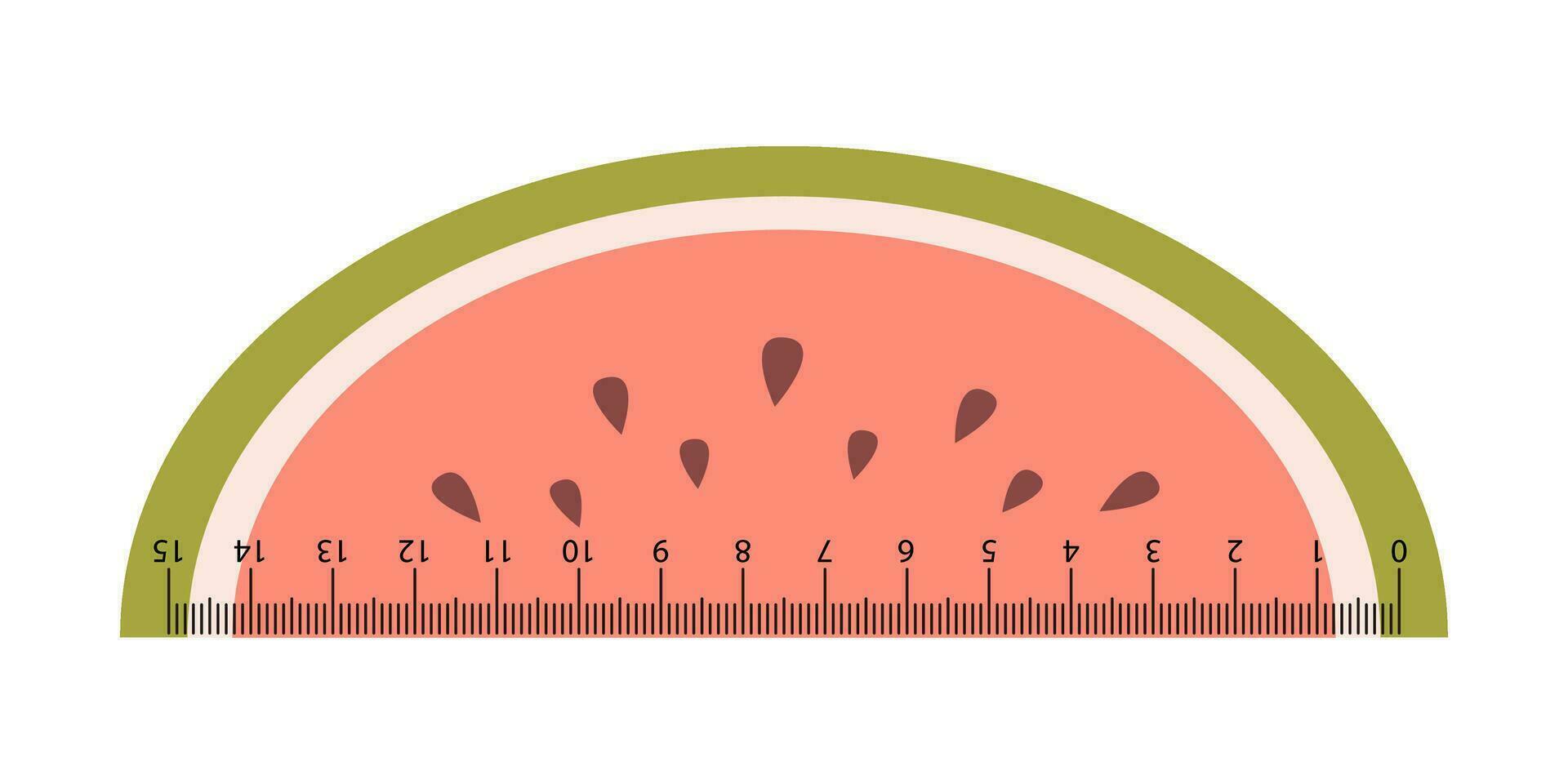 Vector cute measuring ruler. School ruler in the shape of watermelon slice. Fruit measuring tool. Student ruler with kawaii watermelon. Centimeter scales.