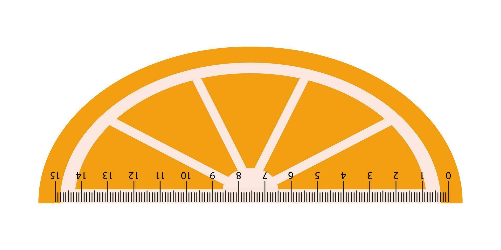 Vector cute measuring ruler. School ruler in the shape of orange slice. Fruit measuring tool. Student ruler with orange. Centimeter scales.