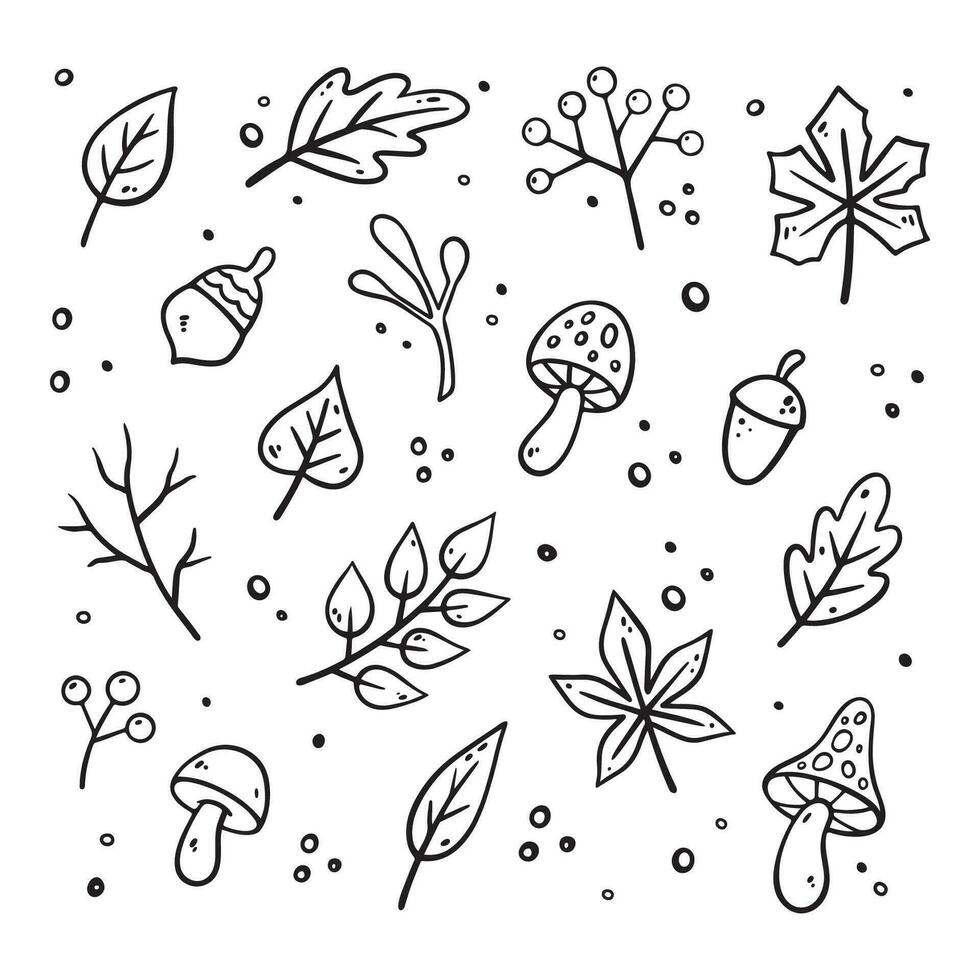 Autumn design elements set. Vector floral illustration. Fall leaves collection. Autumn elements - acorn, apple, leaves, berries. Flat design, doodle style.