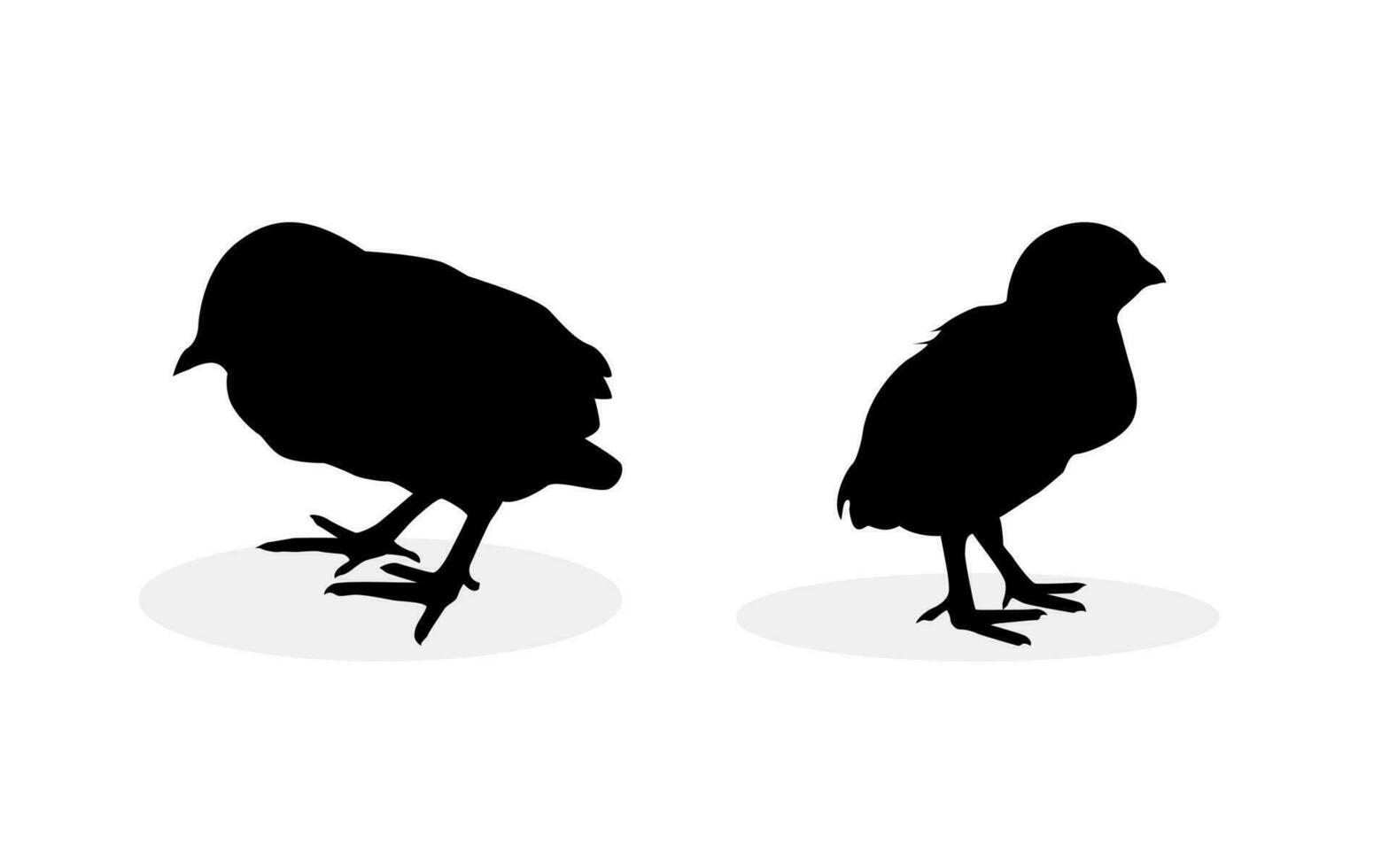 check silhouette design. Black simple chicken illustration in set vector