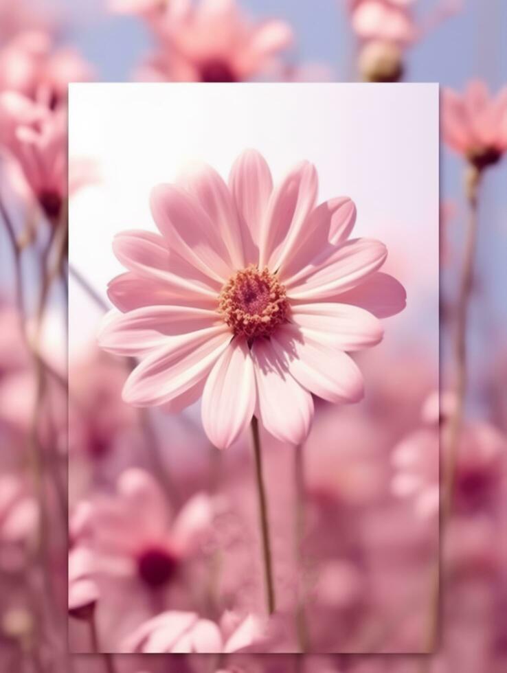 beautiful flower template design photo