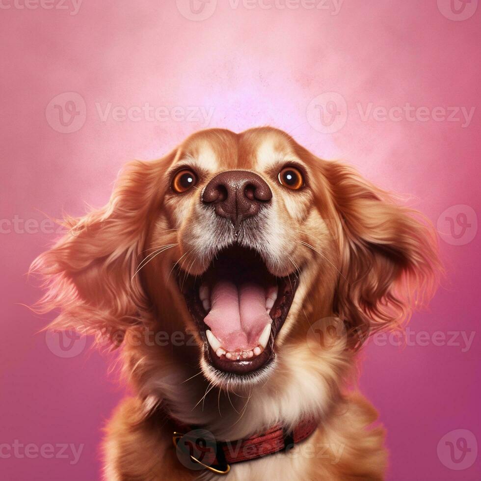 Generative AI, Portrait of a happy dog looking at the camera with mouth open on pink background photo