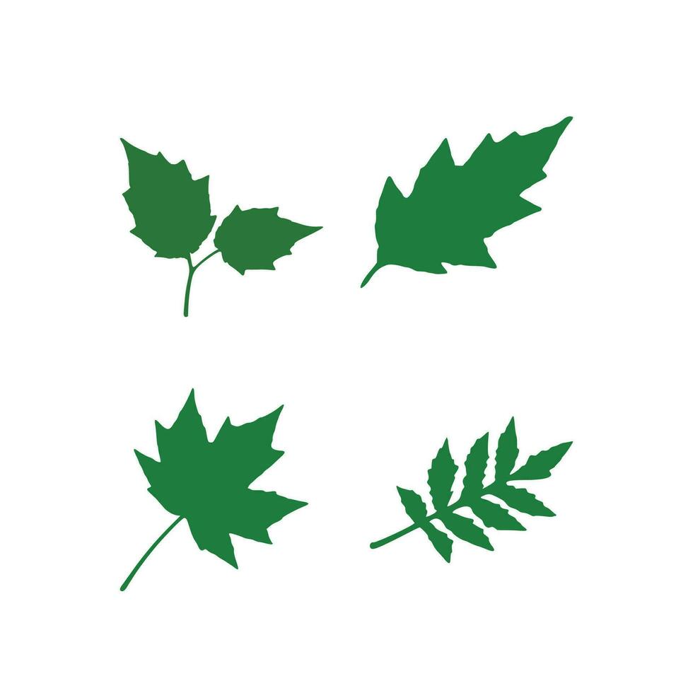 vector conjunto planta silueta elemento, rama hojas colección