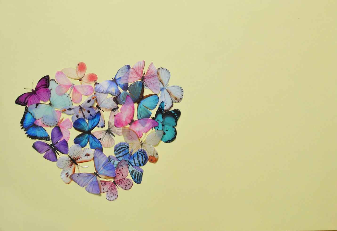 Colorful butterflies with  heart shape on yellow background photo