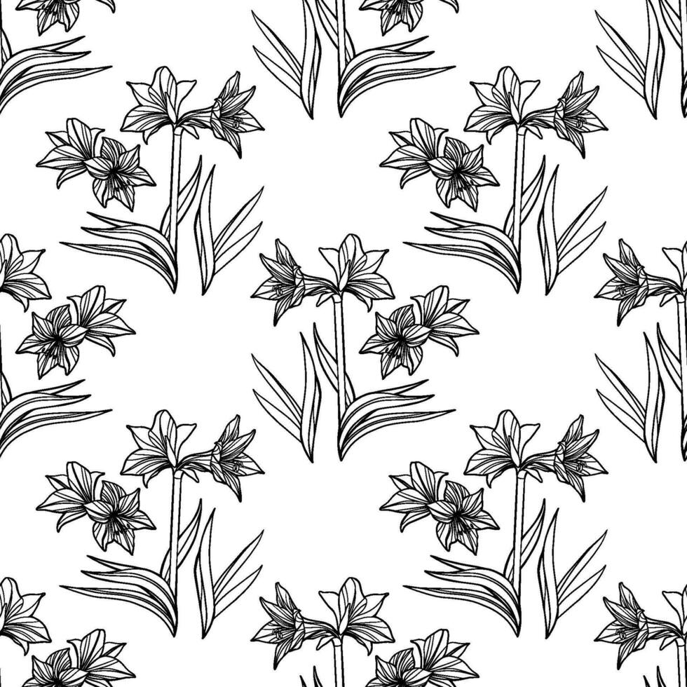 Vector Seamless Amaryllis Floral Hand-drawn Pattern. Hippeastrum Flower background for your design projects fashion textile, wallpaper, scrapbook and etc.