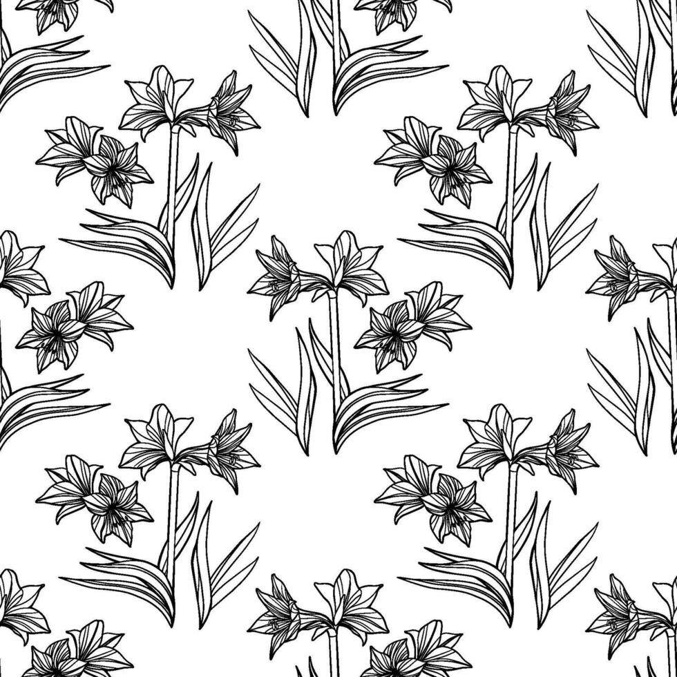 vector sin costura amarilis floral dibujado a mano modelo. hippeastrum flor antecedentes para tu diseño proyectos Moda textil, fondo de pantalla, álbum de recortes y etc.