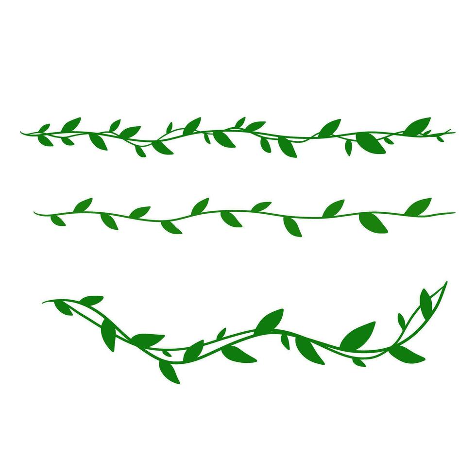 creeping leaves plant decoration vector