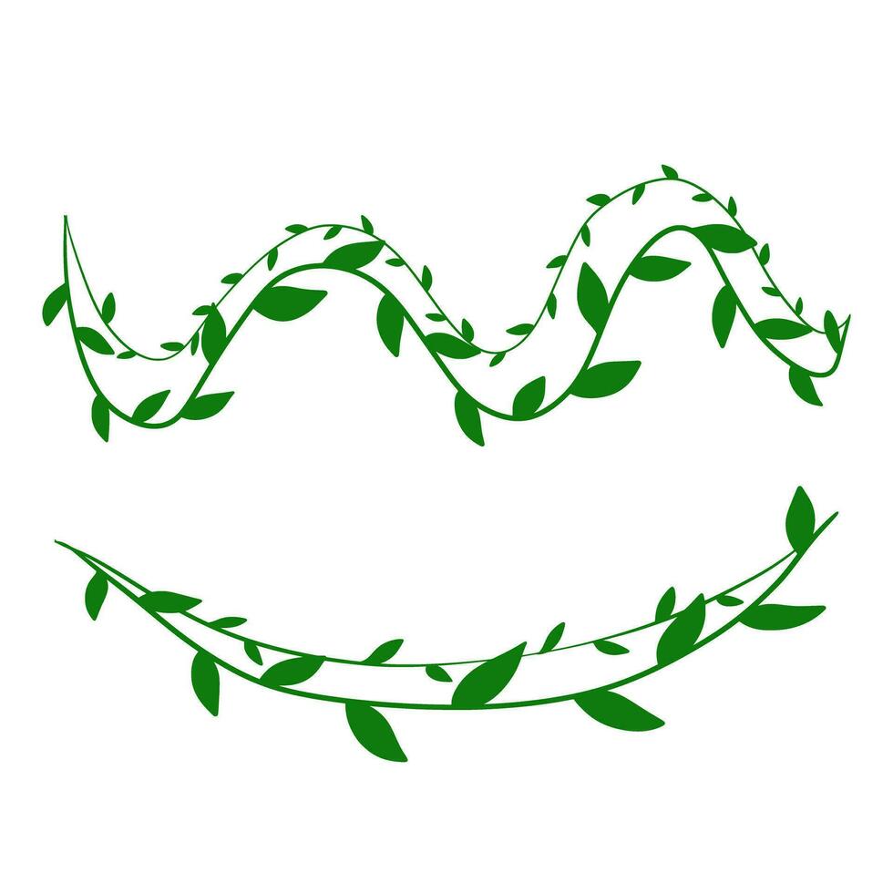 creeping leaves plant decoration vector