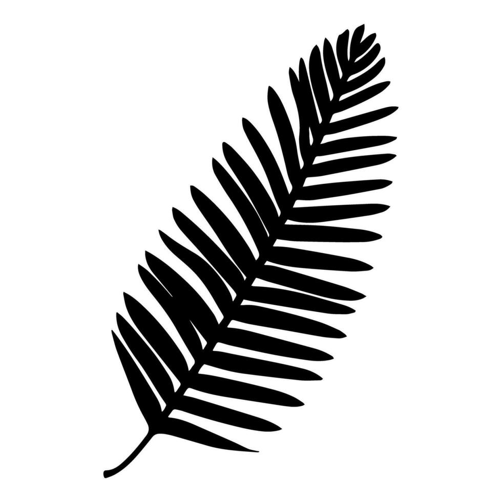 Palm tree leaf silhouette. Vector illustration