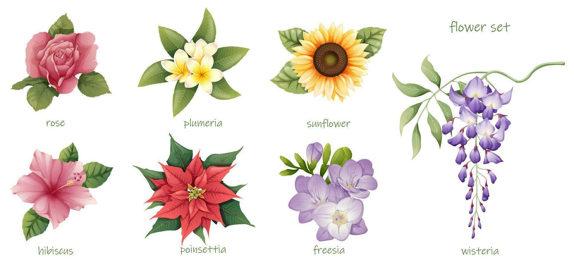 Vector set of floral elements. Wisteria, plumeria, freesia, hibiscus, sunflower, rose on an isolated background.Floral poster, invite. Wedding concept with flowers.